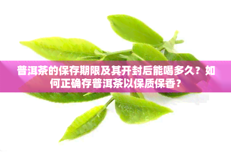 普洱茶的保存期限及其开封后能喝多久？如何正确存普洱茶以保质保香？