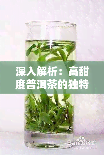 深入解析：高甜度普洱茶的独特魅力与口感特征