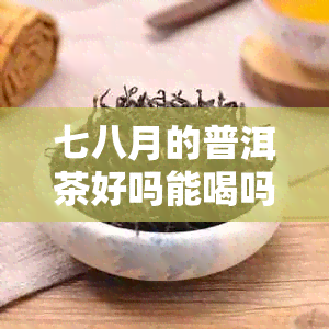 七八月的普洱茶好吗能喝吗：解答你的疑问与担忧