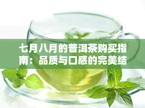 七月八月的普洱茶购买指南：品质与口感的完美结合