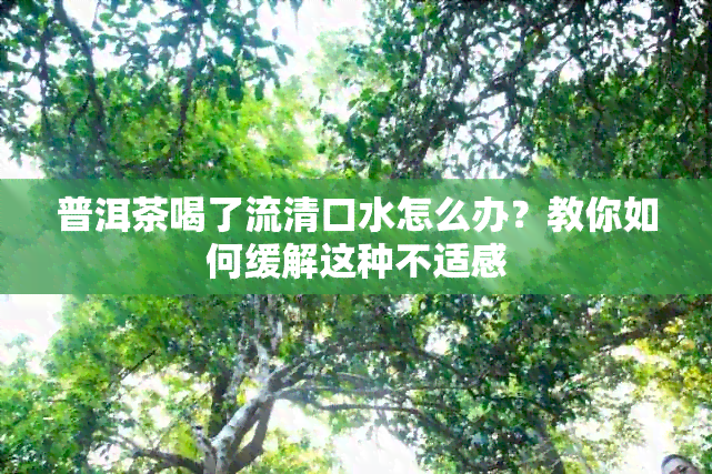 普洱茶喝了流清口水怎么办？教你如何缓解这种不适感