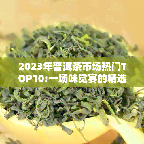 2023年普洱茶市场热门TOP10:一场味觉宴的精选指南