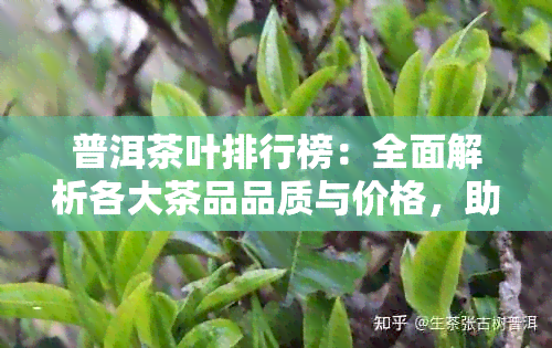 普洱茶叶排行榜：全面解析各大茶品品质与价格，助您轻松选购优质普洱茶！