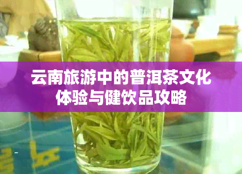 云南旅游中的普洱茶文化体验与健饮品攻略