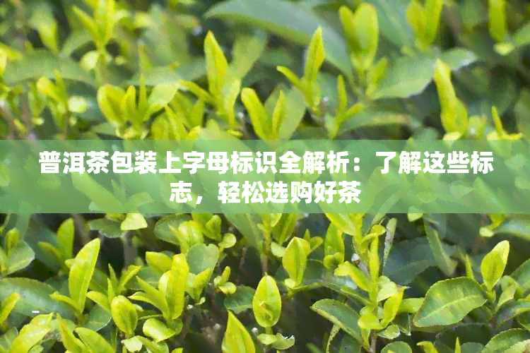 普洱茶包装上字母标识全解析：了解这些标志，轻松选购好茶