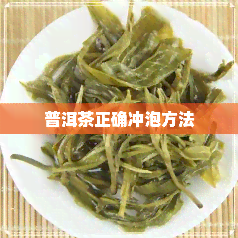 普洱茶正确冲泡方法