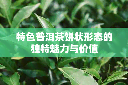 特色普洱茶饼状形态的独特魅力与价值