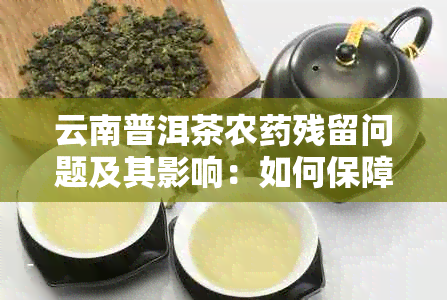 云南普洱茶农残留问题及其影响：如何保障茶叶安全与品质？