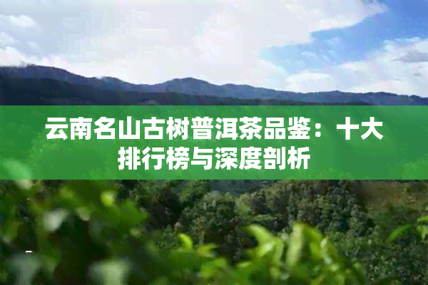 云南名山古树普洱茶品鉴：十大排行榜与深度剖析