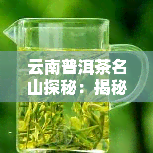 云南普洱茶名山探秘：揭秘十大茶山山头的魅力与风味