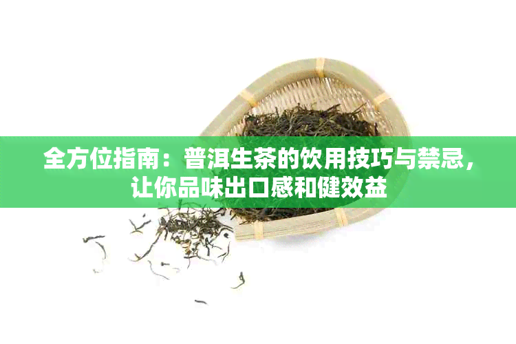 全方位指南：普洱生茶的饮用技巧与禁忌，让你品味出口感和健效益