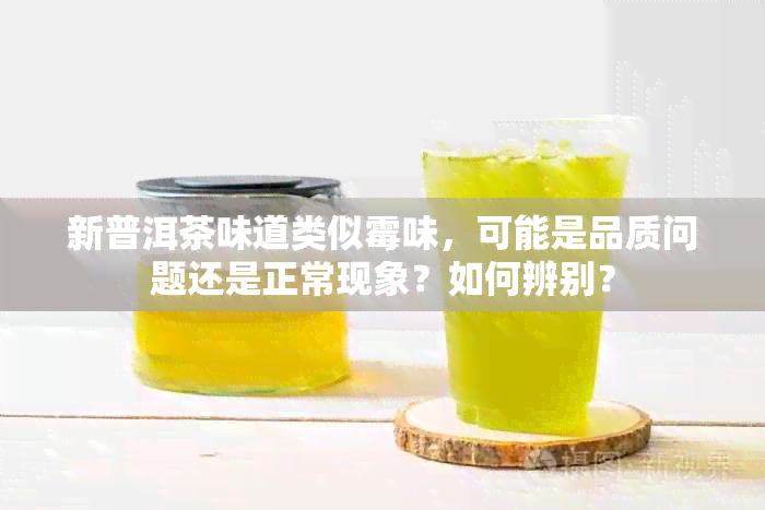 新普洱茶味道类似霉味，可能是品质问题还是正常现象？如何辨别？