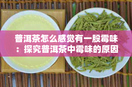 普洱茶怎么感觉有一股霉味：探究普洱茶中霉味的原因与解决方法