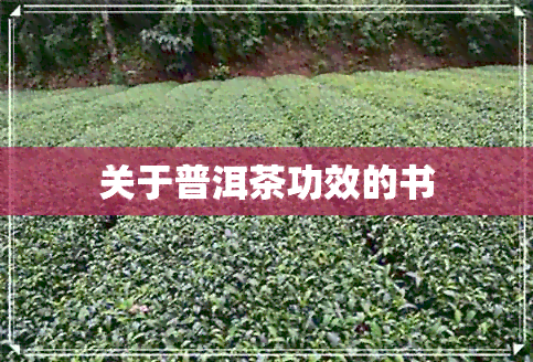 关于普洱茶功效的书