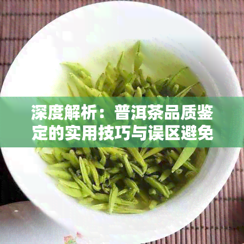 深度解析：普洱茶品质鉴定的实用技巧与误区避免