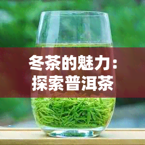 冬茶的魅力：探索普洱茶在寒冷节的独特风味与功效