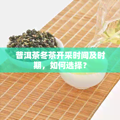 普洱茶冬茶开采时间及时期，如何选择？