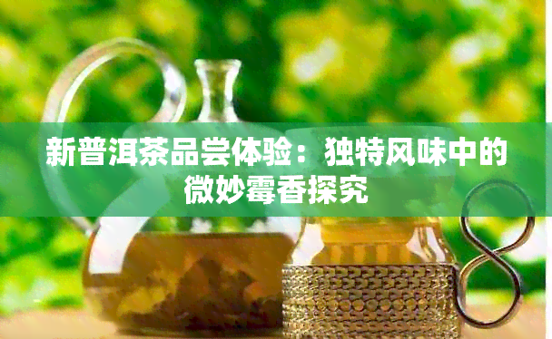 新普洱茶品尝体验：独特风味中的微妙霉香探究