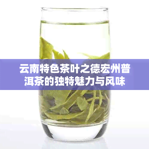 云南特色茶叶之德宏州普洱茶的独特魅力与风味