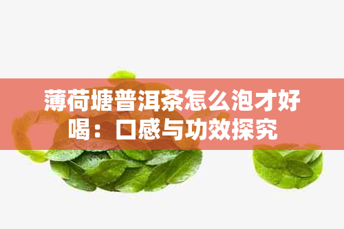 薄荷塘普洱茶怎么泡才好喝：口感与功效探究