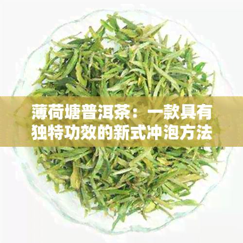 薄荷塘普洱茶：一款具有独特功效的新式冲泡方法