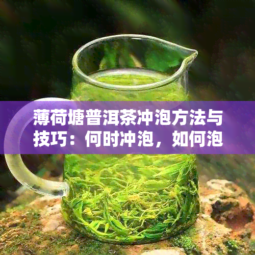 薄荷塘普洱茶冲泡方法与技巧：何时冲泡，如何泡制出口感