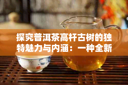 探究普洱茶高杆古树的独特魅力与内涵：一种全新的概念解析