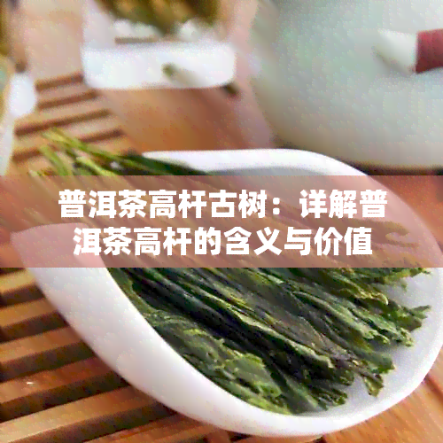 普洱茶高杆古树：详解普洱茶高杆的含义与价值