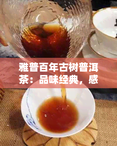 雅普百年古树普洱茶：品味经典，感受传承的价格魅力