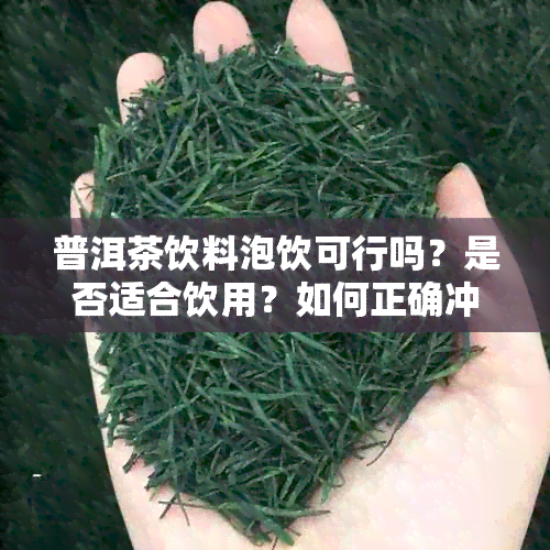 普洱茶饮料泡饮可行吗？是否适合饮用？如何正确冲泡普洱茶以获得口感？