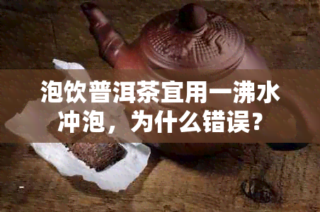 泡饮普洱茶宜用一沸水冲泡，为什么错误？