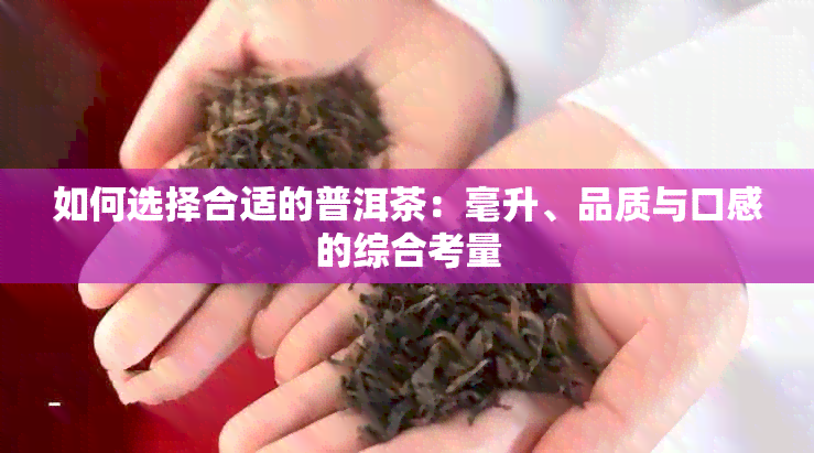 如何选择合适的普洱茶：毫升、品质与口感的综合考量