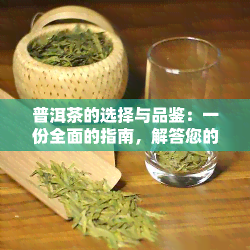 普洱茶的选择与品鉴：一份全面的指南，解答您的所有疑问