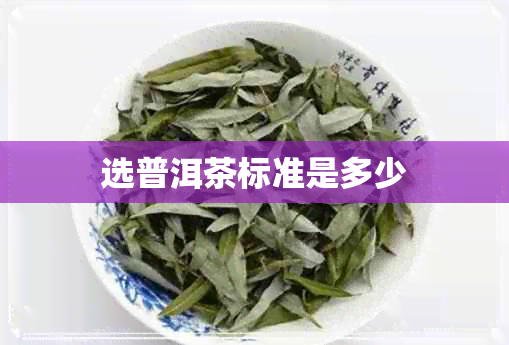 选普洱茶标准是多少