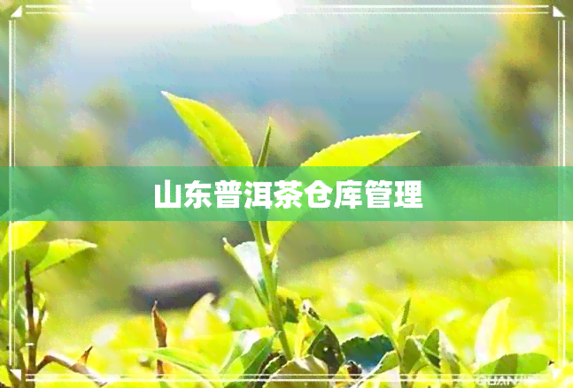 山东普洱茶仓库管理