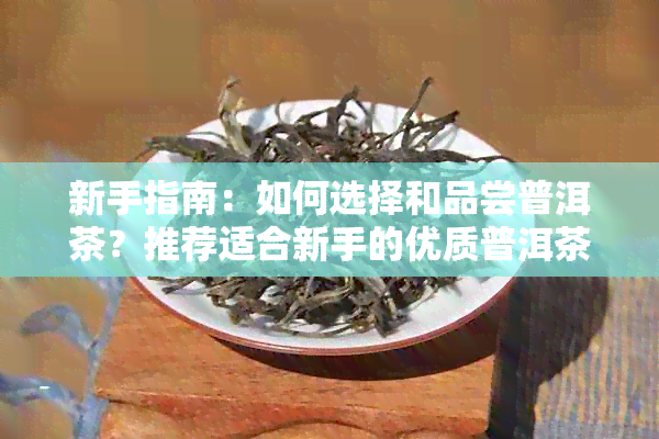 新手指南：如何选择和品尝普洱茶？推荐适合新手的优质普洱茶品种与