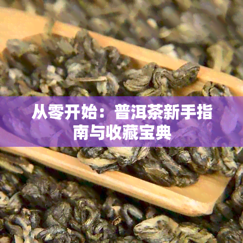 从零开始：普洱茶新手指南与收藏宝典