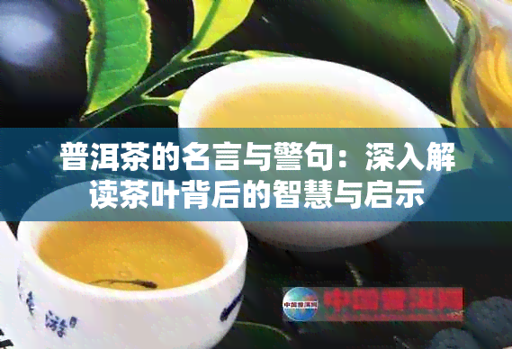 普洱茶的名言与警句：深入解读茶叶背后的智慧与启示