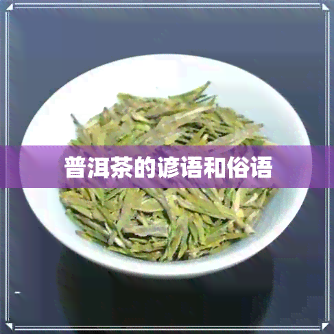 普洱茶的谚语和俗语