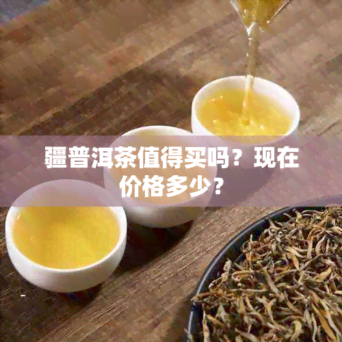 疆普洱茶值得买吗？现在价格多少？