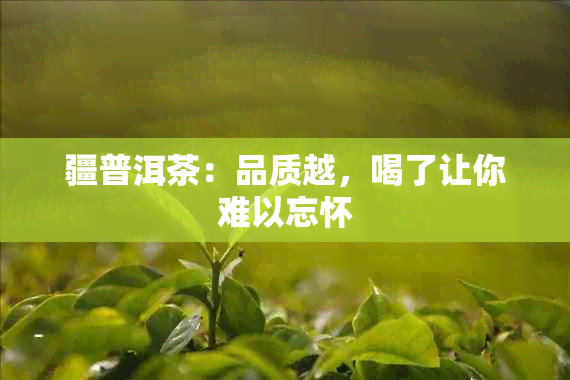 疆普洱茶：品质越，喝了让你难以忘怀