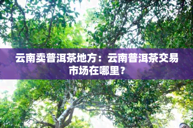 云南卖普洱茶地方：云南普洱茶交易市场在哪里？