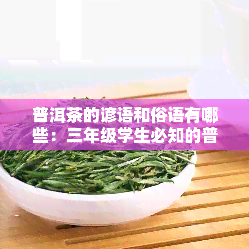 普洱茶的谚语和俗语有哪些：三年级学生必知的普洱茶谚语与俗语