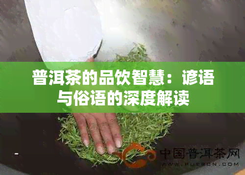 普洱茶的品饮智慧：谚语与俗语的深度解读