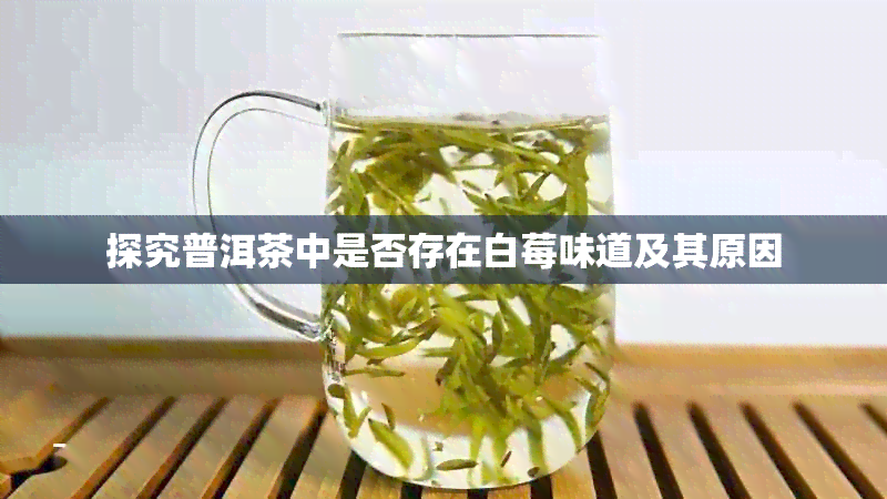 探究普洱茶中是否存在白莓味道及其原因