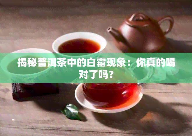 揭秘普洱茶中的白霜现象：你真的喝对了吗？