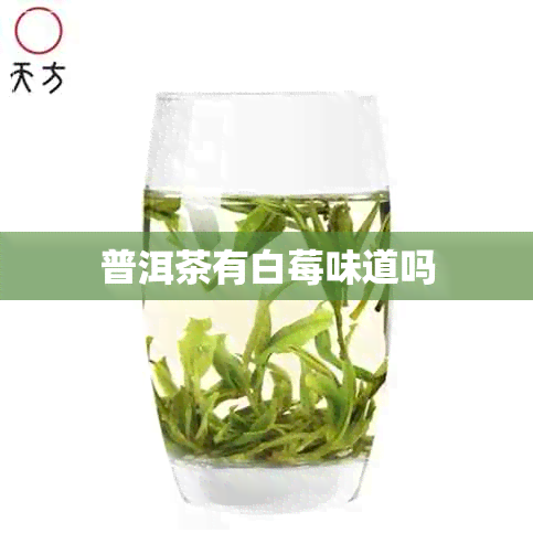 普洱茶有白莓味道吗