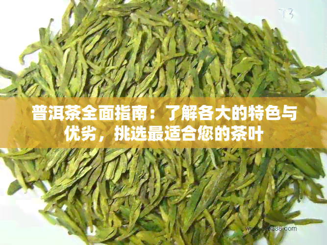 普洱茶全面指南：了解各大的特色与优劣，挑选最适合您的茶叶