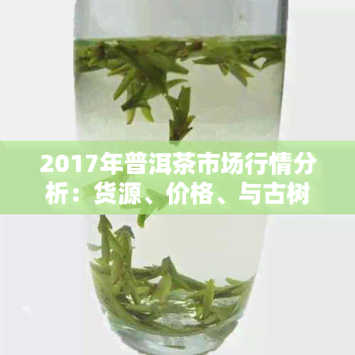 2017年普洱茶市场行情分析：货源、价格、与古树茶的关联