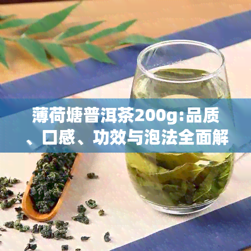 薄荷塘普洱茶200g:品质、口感、功效与泡法全面解析